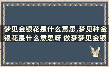 梦见金银花是什么意思,梦见种金银花是什么意思呀 做梦梦见金银花是什么意思